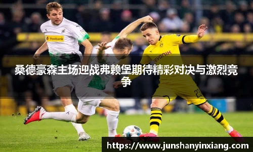 桑德豪森主场迎战弗赖堡期待精彩对决与激烈竞争